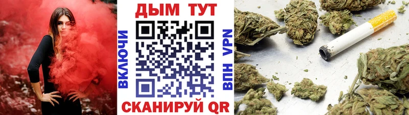 где купить наркоту  Междуреченск  мориарти клад  Шишки марихуана OG Kush 